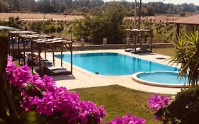 Apartments Ada Bojana